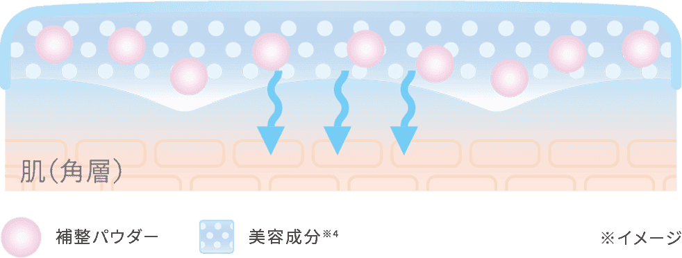 肌（角層）　補整パウダー　美容成分※4 ※イメージ