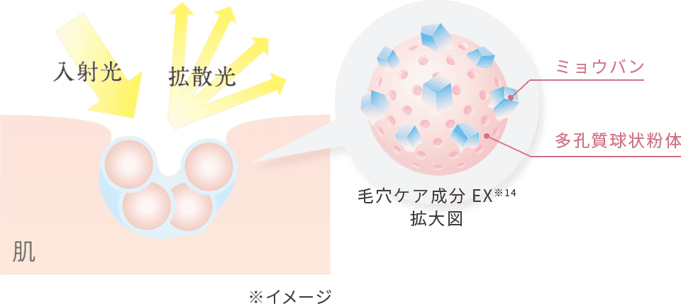 入射光 肌 拡散光 毛穴ケア成分EX※14 拡大図 ミョウバン 多孔質球状粉体 ※イメージ
