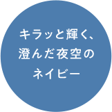 キラッと輝く、澄んだ夜空のネイビー