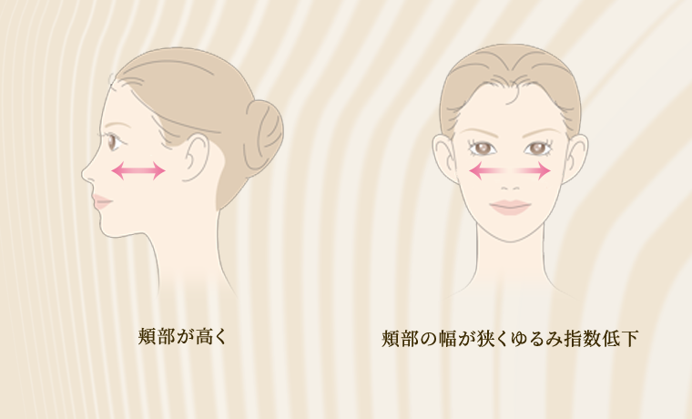 頬部が高く 頬部の幅が狭くゆるみ指数低下