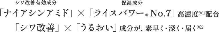 シワ改善有効成分「ナイアシンアミド」×保湿成分「ライスパワー®No.7」高濃度※1配合 「シワ改善」×「うるおい」成分が、素早く・深く・届く※2