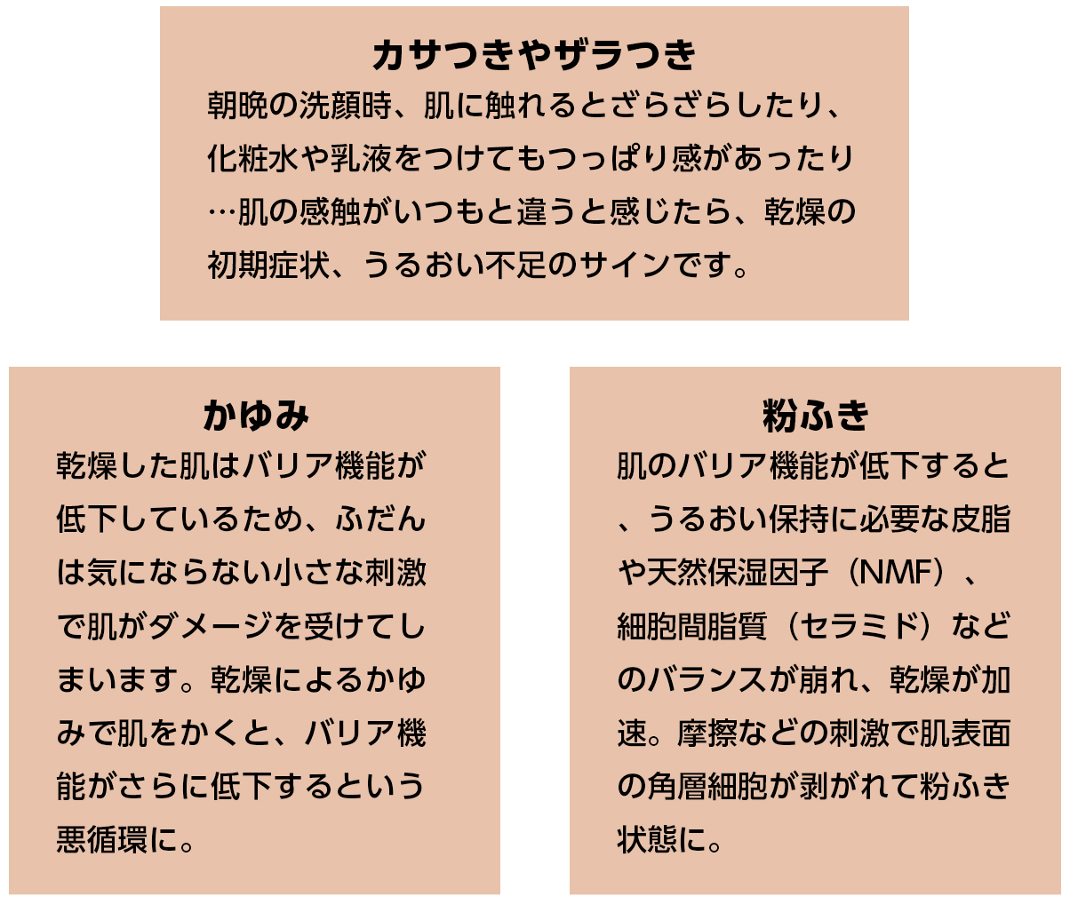 乾燥肌のたのもしい味方。うるおいを抱え込むセラミドが鍵！