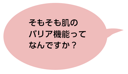 乾燥肌のたのもしい味方。うるおいを抱え込むセラミドが鍵！